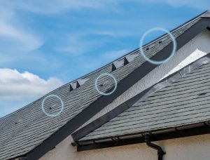 Bat Access Slates Great Wadham Farm Estate